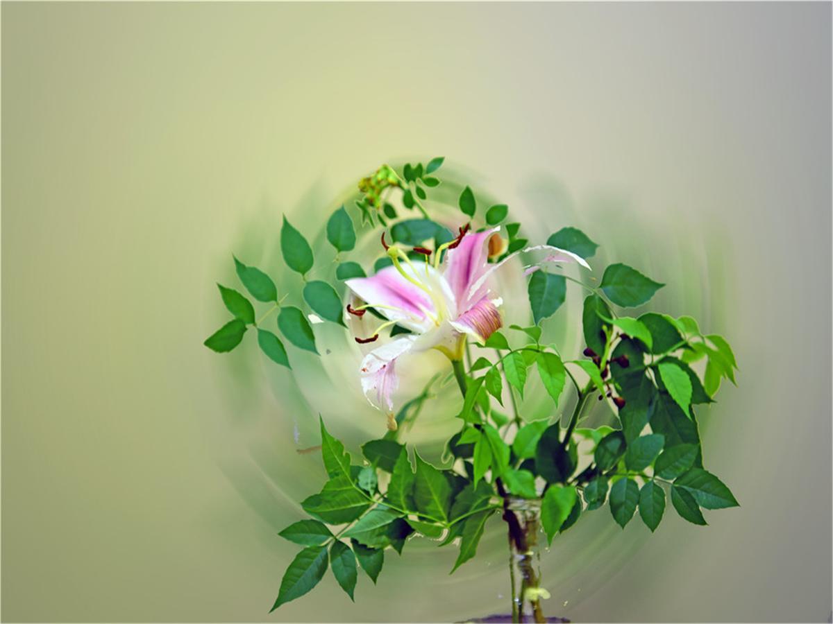 שנגחאי Soho Garden Hotel מראה חיצוני תמונה